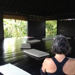 Inma Peñaranda Meditación