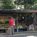 frutería Colombia